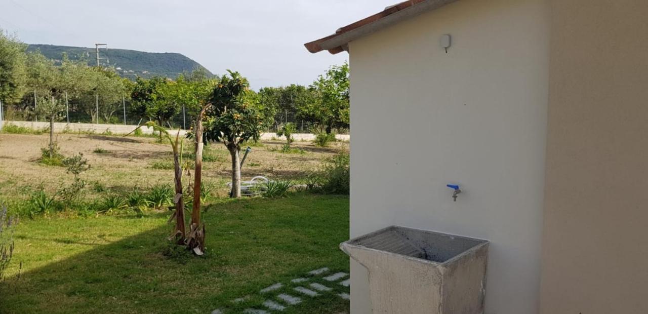 Villa Alice Capo Vaticano Exterior photo