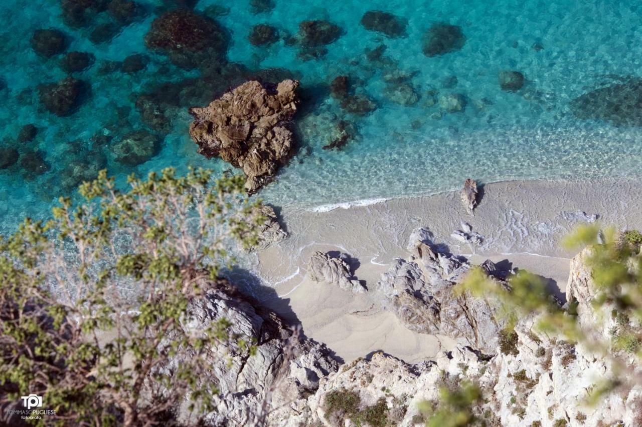 Villa Alice Capo Vaticano Exterior photo